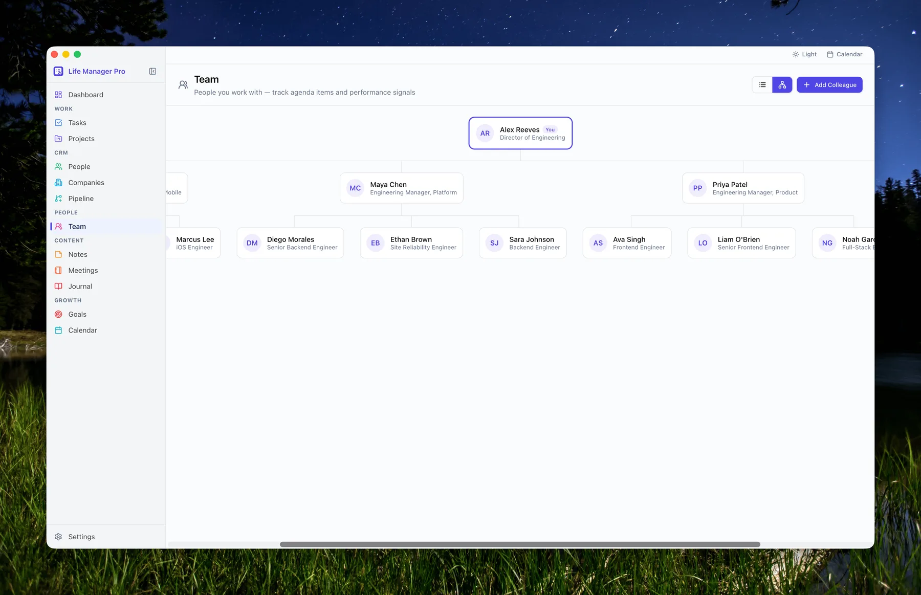 Team Org Chart View